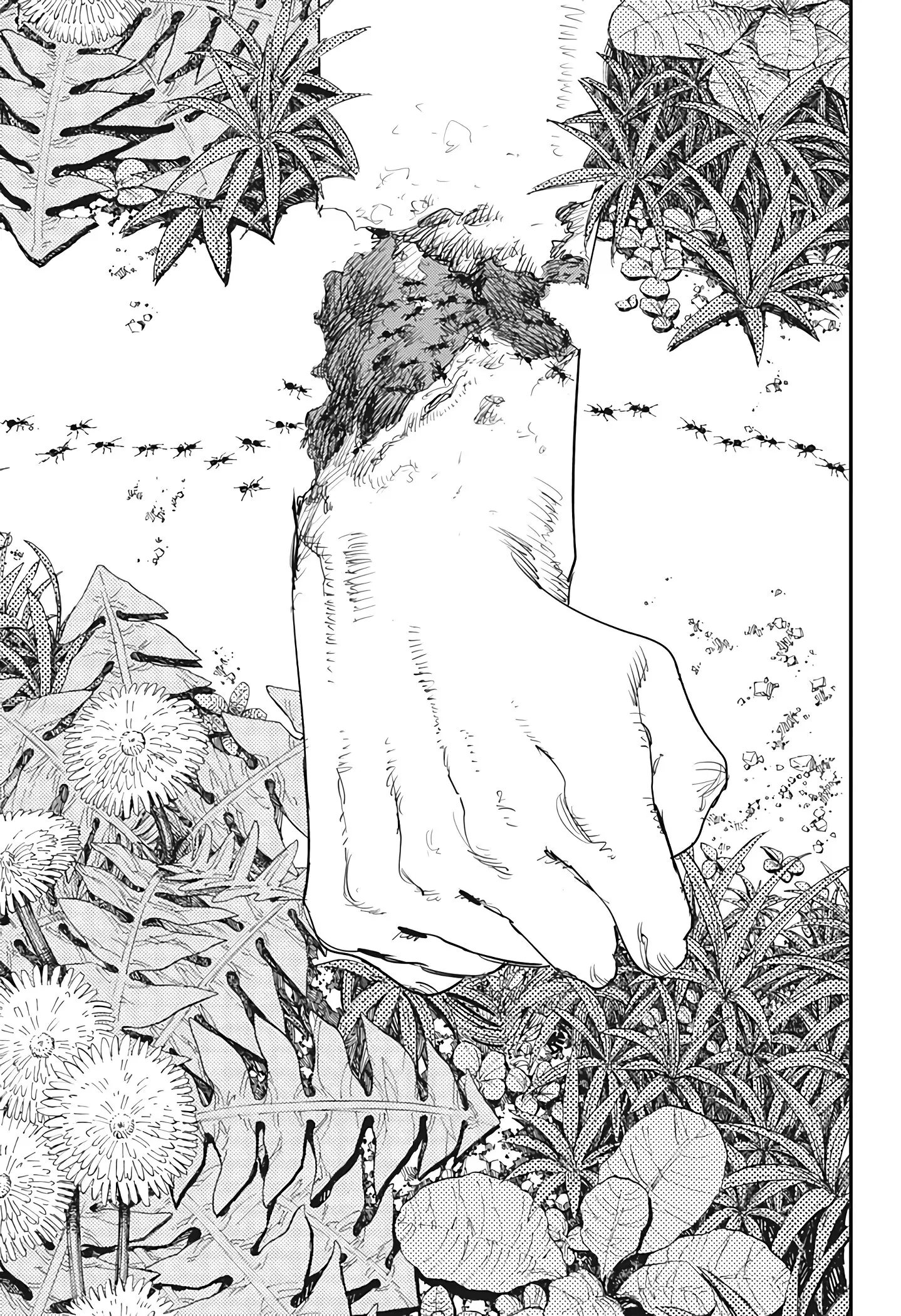 manga-img