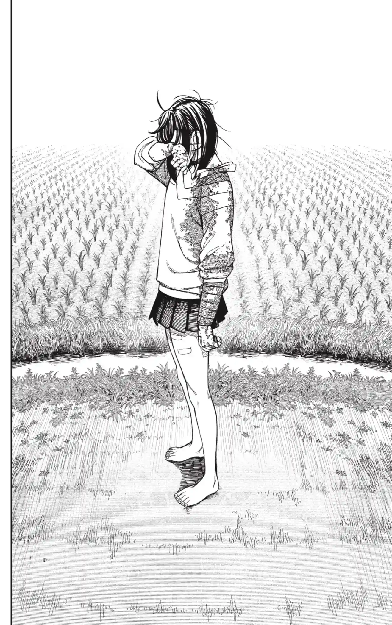 manga-img